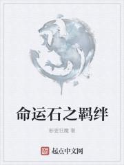 命运之石贴吧