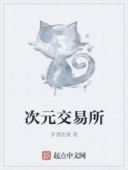 次元交易所是干什么的
