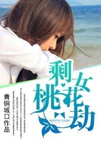 剩女桃花劫在线收听