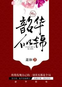 韶华似锦评分