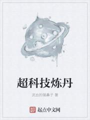 超级炼丹记全