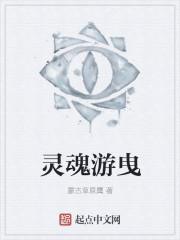 灵魂在游走