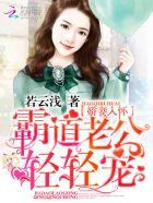 娇妻入怀霸道老公轻轻宠免费阅读