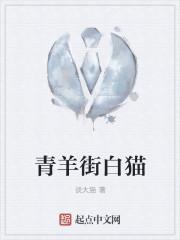 青羊区白丝街属于哪个街道