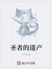 圣者遗产卡带