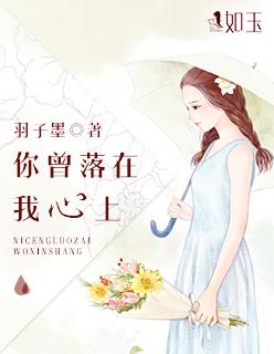 你曾在我心里免费阅读