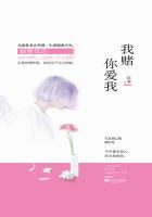 我赌你爱我免费阅读