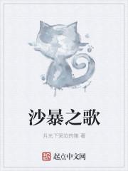 沙暴是什么游戏