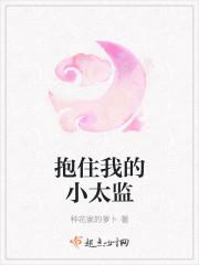 抱住我的小太监男二