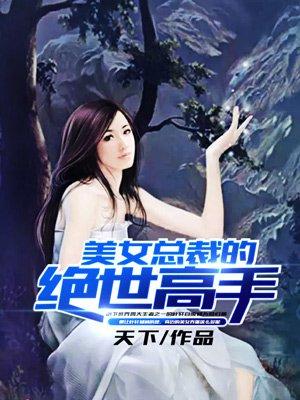美女总裁的绝世高手免费阅读