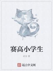 赛高小学生收费照