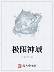 极限神域sans和终末始元谁强