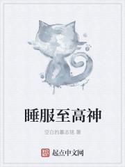 至高神设定