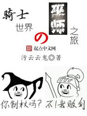 巫师 骑士