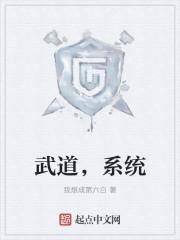 武道系统我