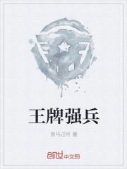 王牌强兵良马过河txt