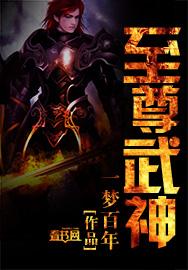 至尊武神叶风