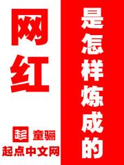那些网红是怎么成长的