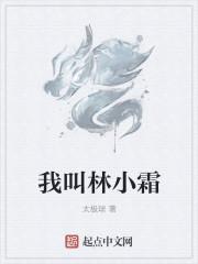 陆沉林小霜