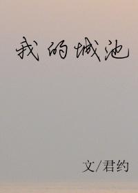 我的城池营垒剧情介绍