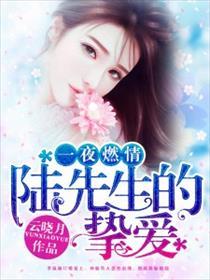 一夜燃情 狼性总裁娇宠