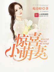喜从妻来傲娇老公深深宠苑诗婷