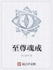 至尊王魂