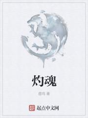 灼魂之戒属性