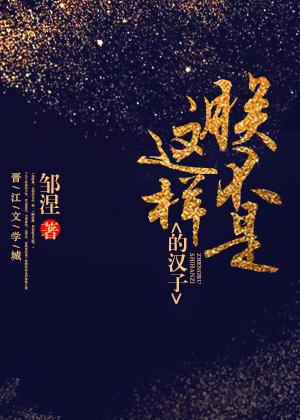 朕不是这样的汉子结局是什么