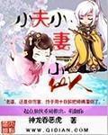 小夫夫什么意思