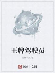 王牌驾驶员阅读