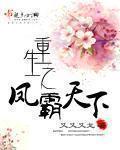 重生之凤霸天下锦贵妃成皇后第章免费阅读