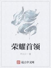 荣耀领袖厉害吗