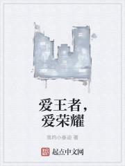 爱上王者