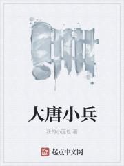 重生大唐一小兵