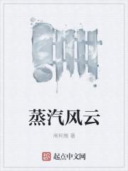 蒸汽风云百度