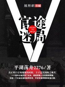 官途迷局免费阅读