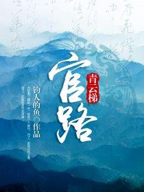 官路青云梯丁长生免费阅读