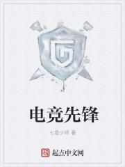 电竞先锋二流风月
