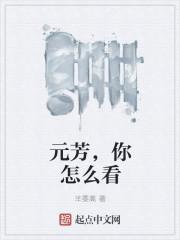 元芳你怎么看的出处