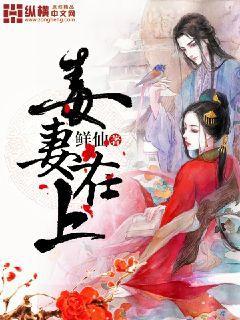 毒妻在上原著