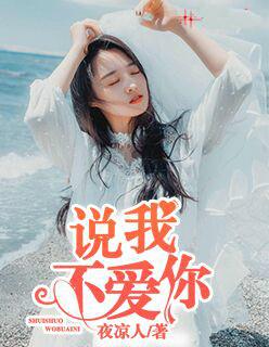 说我不爱你 纯音乐