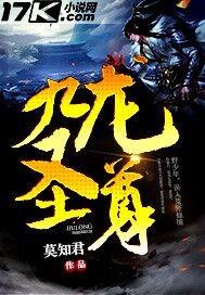 九龙圣祖最新章