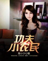 功夫高手混官场的