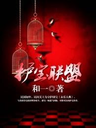 护宝联盟全集免费观看