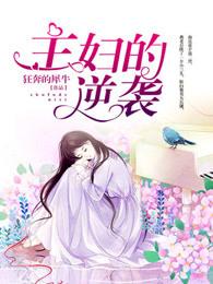 主妇的反击电视剧