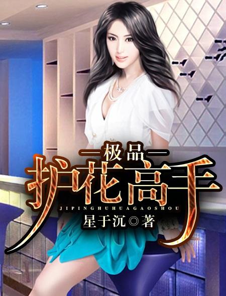 极品护花高手在都市