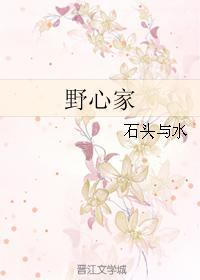 野心家百度百科