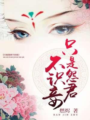王林 君不识妾