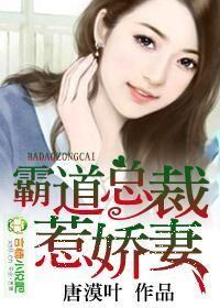 霸道总裁惹娇妻唐漠叶书评